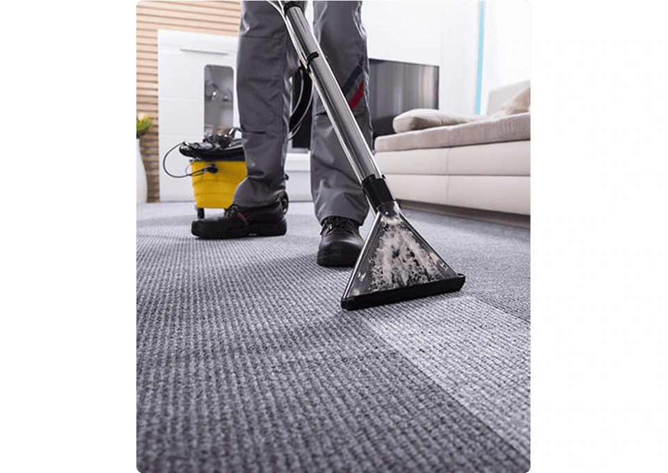 Carpet Cleaners Newtown for Professional Carpet Care and Cleaning