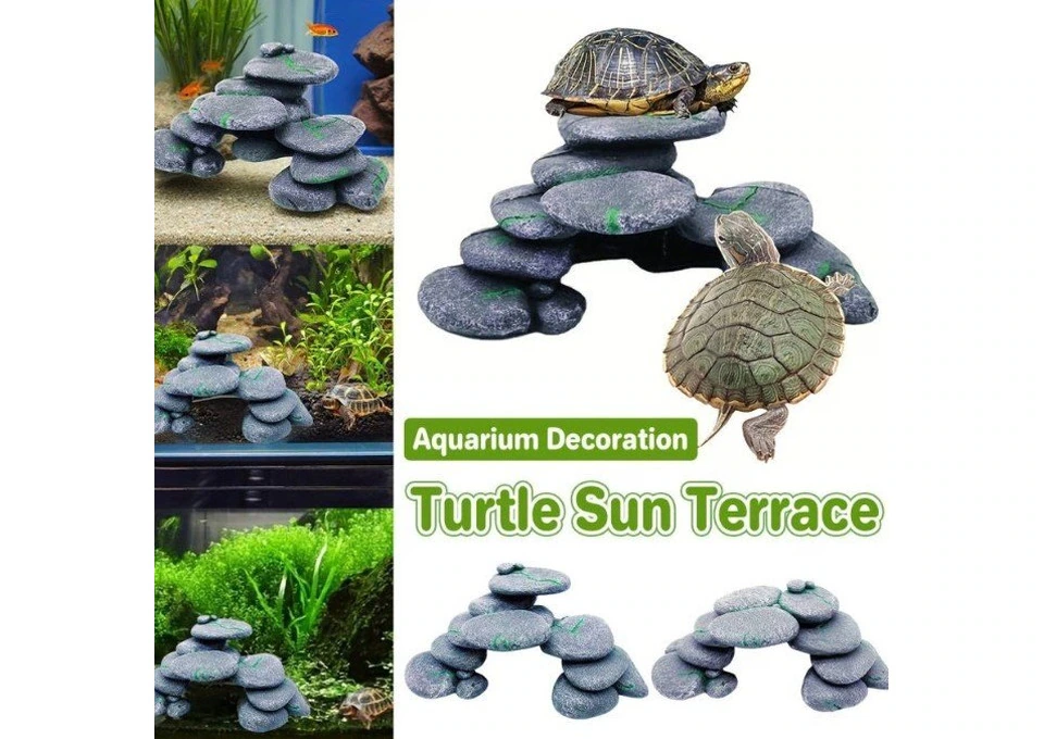 Build a More Natural Habitat With Reptile & Amphibian Accessories