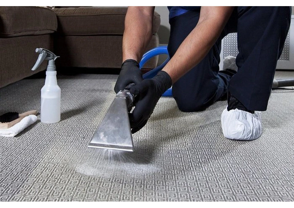 Professional Carpet Cleaning in Mortdale – St George Carpet Cleaners photo 1