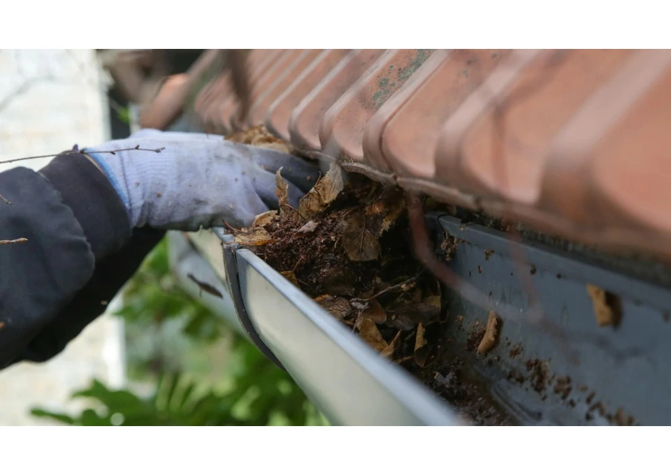 Professional Gutter Cleaning Services in St George photo 1