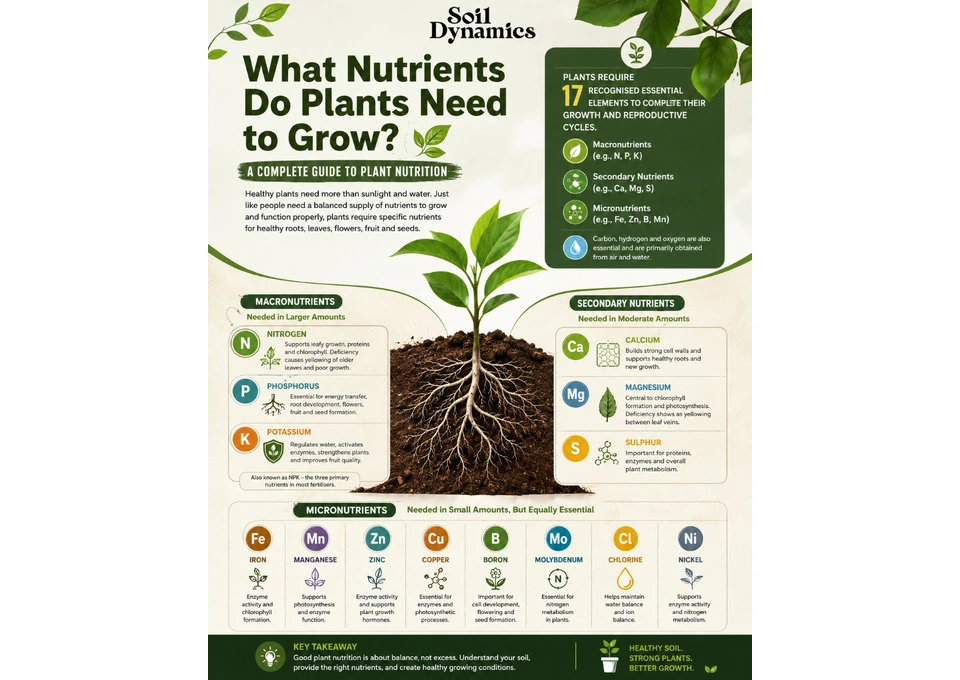 Organic Slow Release Fertiliser Australia for Healthier Soil & Plants photo 1