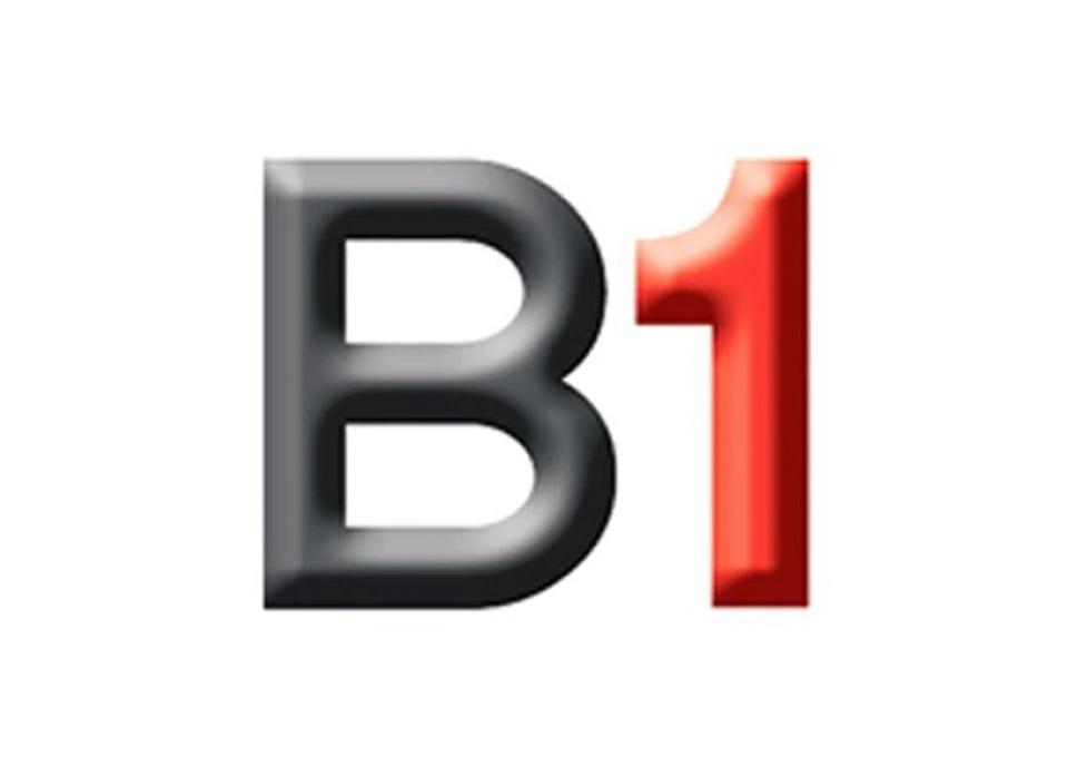 B1 Homes photo 1