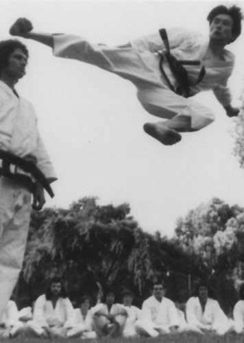 Taekwondo Greenacre: Build Strength and Confidence photo 5