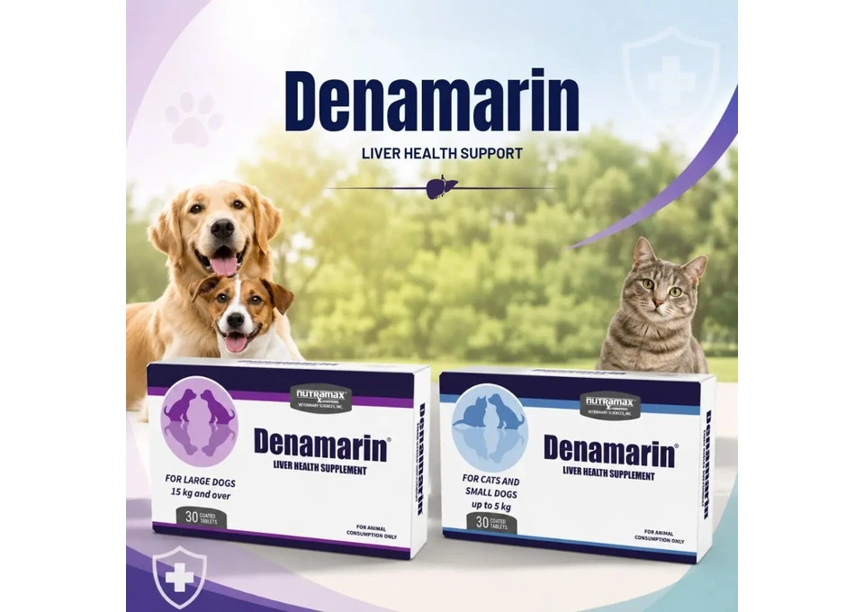 Support their liver health with Denamarin at Petservo. photo 1