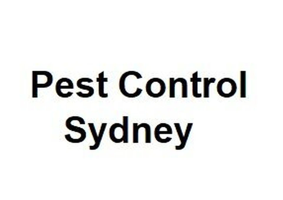 Pest Control Sydney photo 1