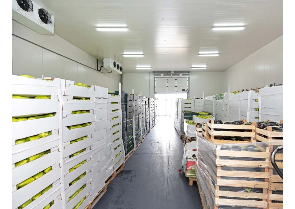 Fresh Produce Logistics in Canberra for Faster, Safer Delivery photo 1