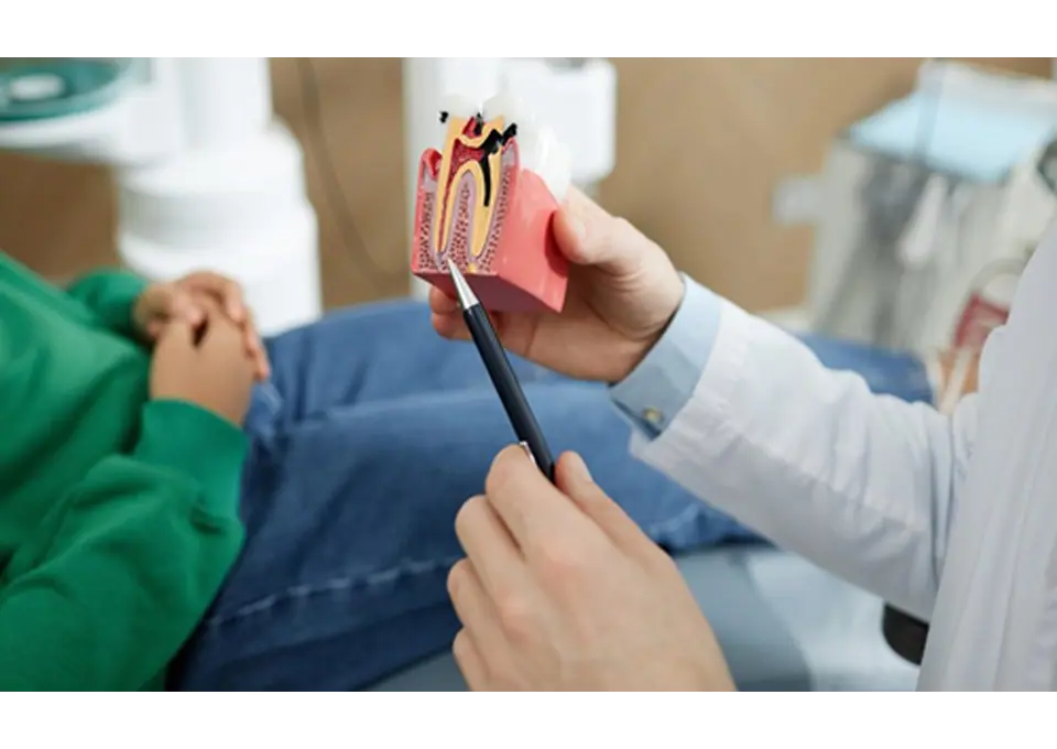 Refresh Your Smile With Cosmetic Dental Fillings in Greensborough photo 1