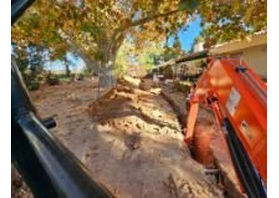 Compliant Arborist Services photo 1