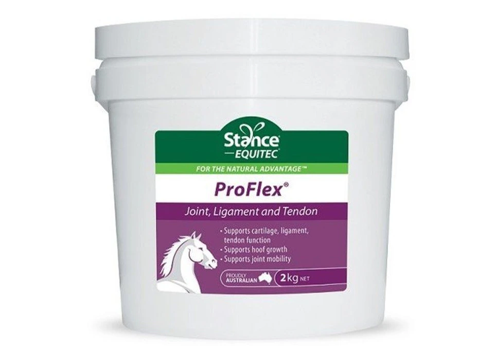 Stance Equitec Proflex for Horses