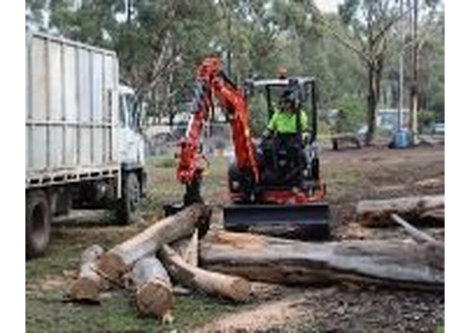 Professional arborists