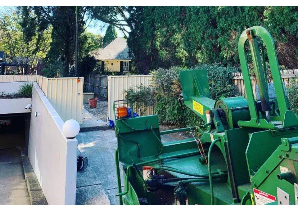 Tree Removal Eastern Suburbs Sydney photo 1