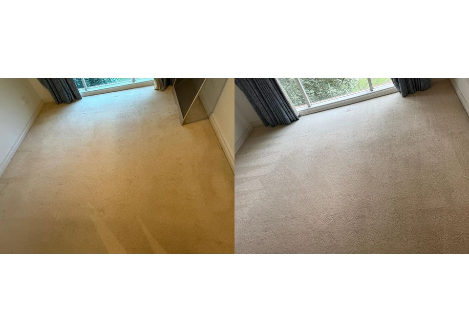 Same Day Pet Stain Removal Service Melbourne | Odour Cleaning photo 1