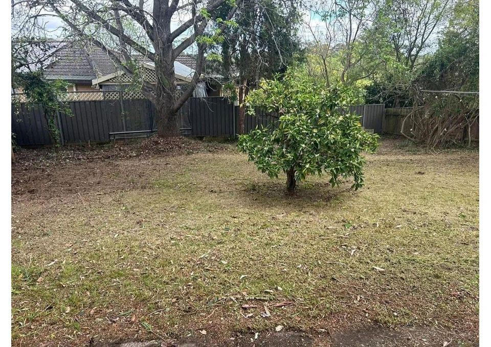 Garden Maintenance Sydney photo 1