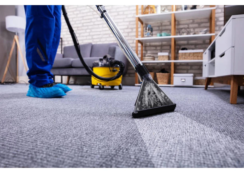 Bring Back Carpet Freshness with Professional Carpet Cleaning in Brighton photo 1