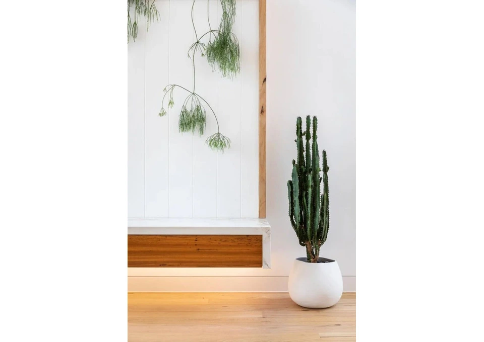 Real Estate Photography in Brisbane | Free Quote Today