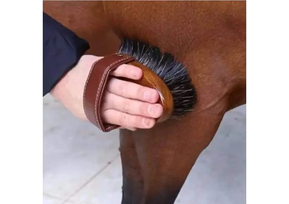 Buy Quality Horse Brushes for Easy Grooming in Australia photo 1