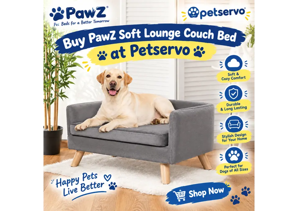 Buy PawZ Soft Lounge Couch Bed for Pets at Petservo – Comfort & Style for Your Furry Friend. photo 1