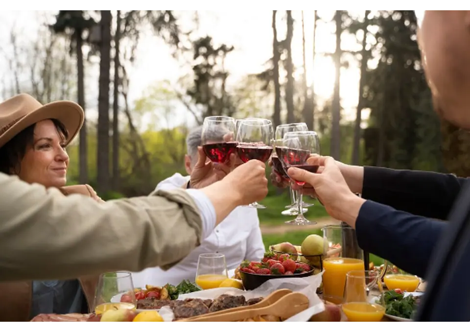 Explore Brisbane’s Finest Flavours with Wine Tours in Brisbane photo 1