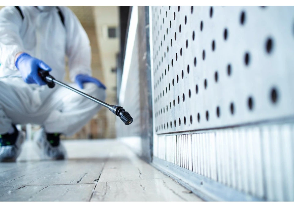 Termite Inspection – Professional Assessment to Protect Your Property photo 1