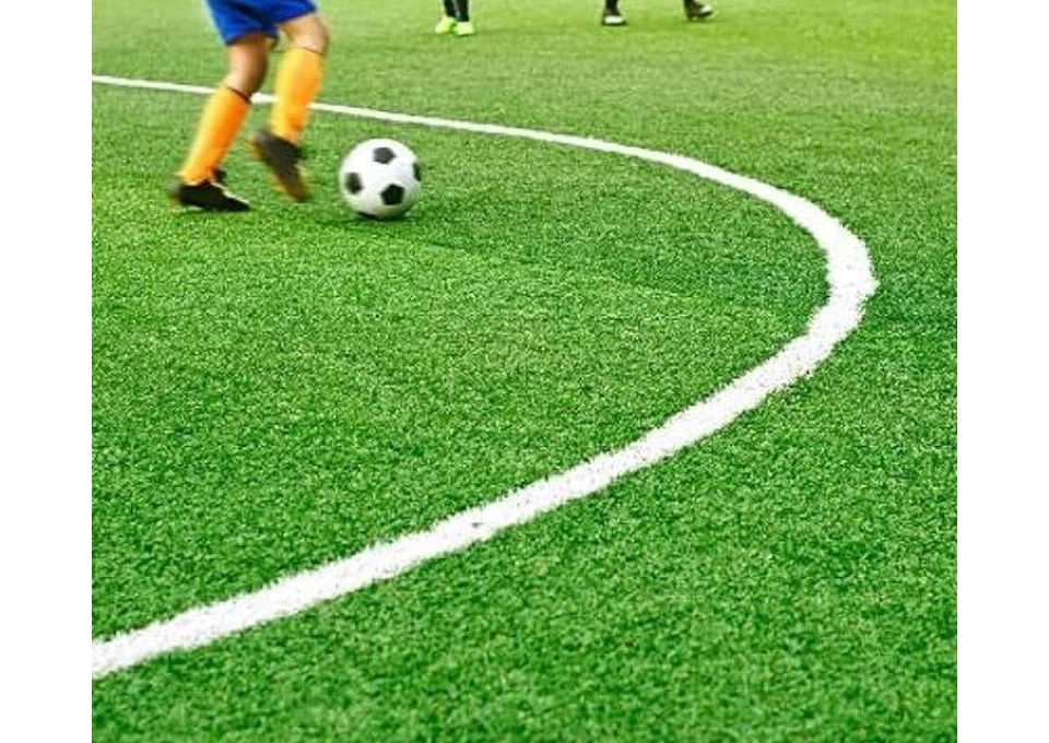 Best Sport Grass Perth for Football Fields and Training Areas photo 1