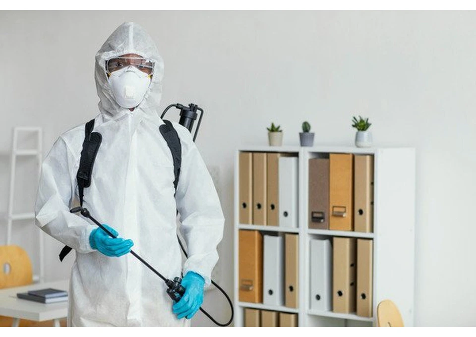 Termite Treatment – Professional Solutions for Long-Lasting Termite Protection