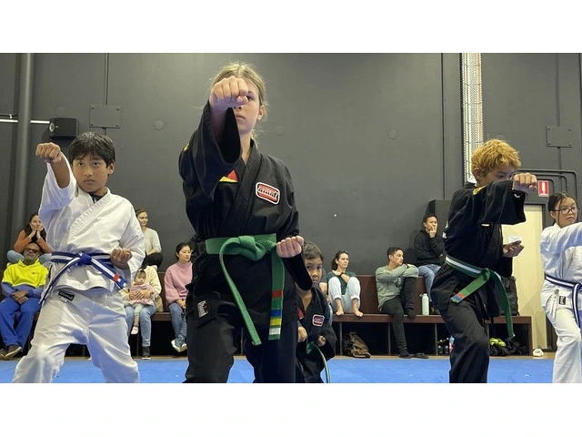 Find the Best Fighting Karate Classes Near Me With AMAF Australia