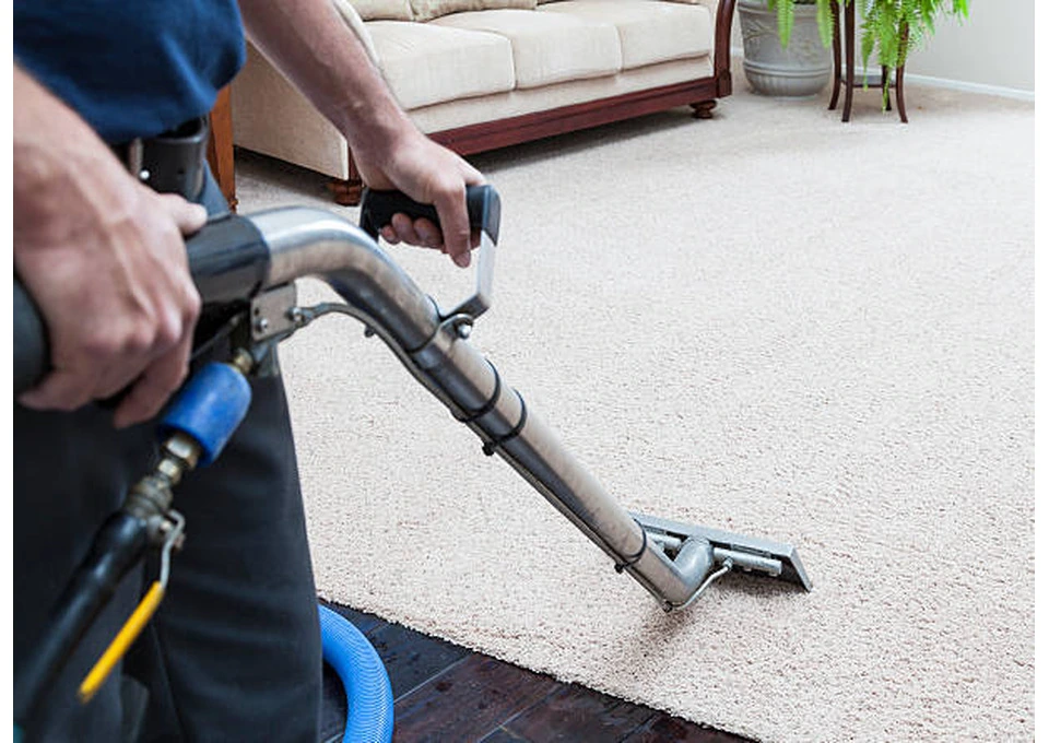 Professional Carpet Cleaners in Melbourne for a Fresh Home