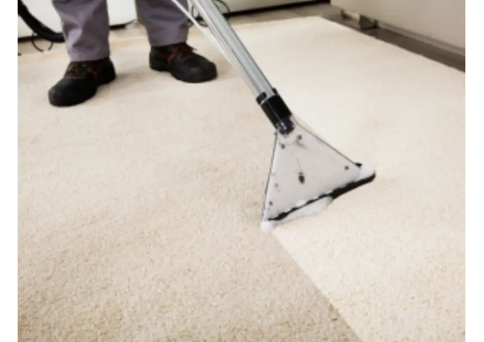 Carpet Cleaning Redbank Plains