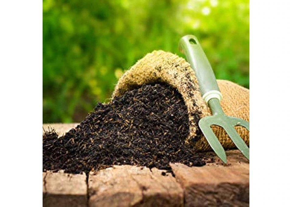 Feed the Soil, Feed the Plant: The Power of Slow Release Organic Fertiliser photo 1