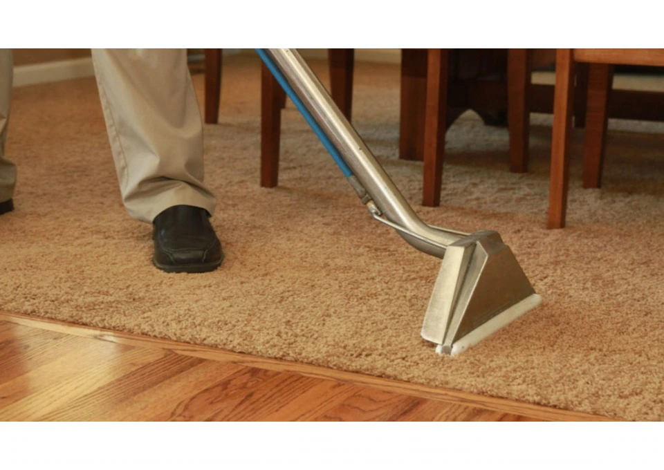 Keep Your Carpets Fresh with Croydon Carpet Cleaners photo 1