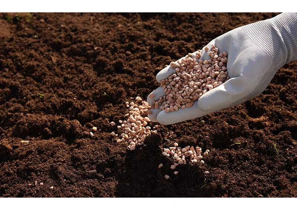 How to Choose the Right Soil Fertiliser for Your Crops photo 1
