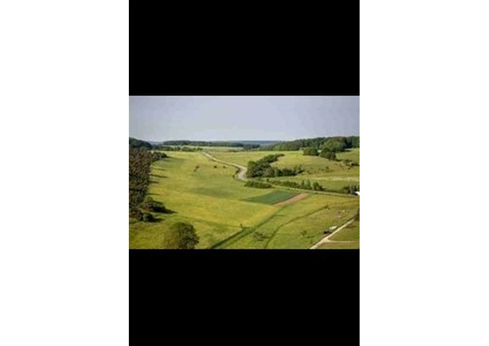 Best Land for Sale in Thornhill Park for Buyers photo 1