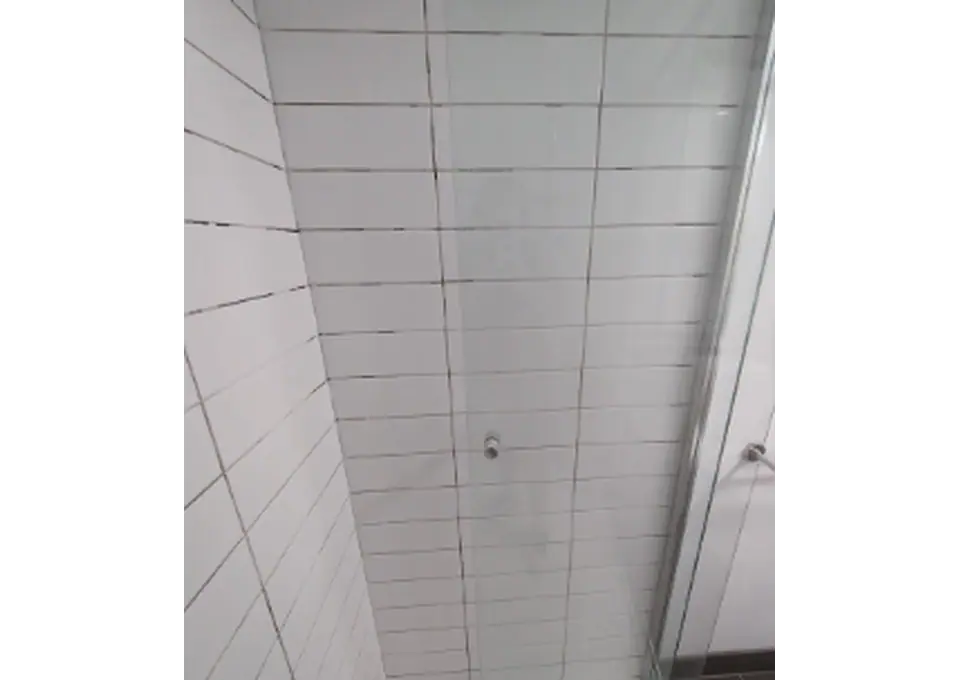 Shower Leak Repair for Damaged Grout