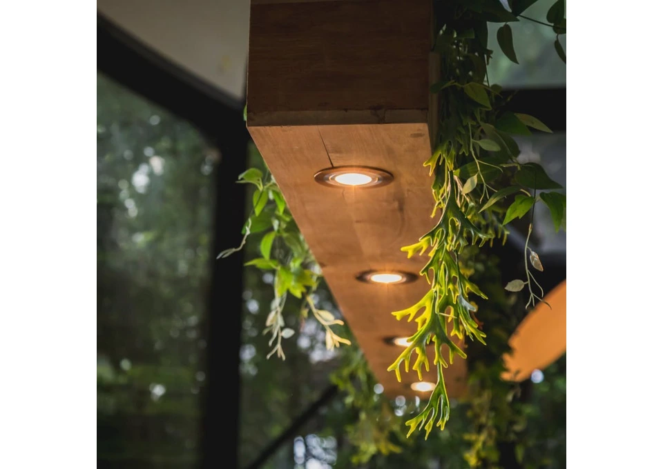 Improve Lighting Efficiency Using the Government Downlight Replacement Scheme photo 1