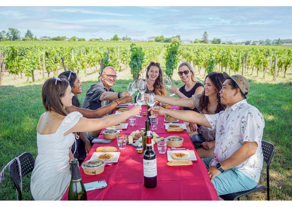 Explore the Best Local Flavours with Wine Tours in Sunshine Coast